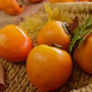 국내산 햇 대봉감 10kg