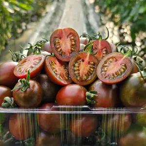 대저 흑 대추 방울토마토 1kg 2kg 고당도 새콤달콤 짭짤이 토마토 산지발송