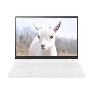 LG전자 LG그램 프로 17ZD90TP-GX79K SSD 512GB 교체