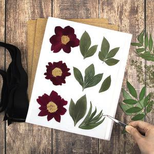 프레스코21 압화건조매트 L6 풀세트 국내산