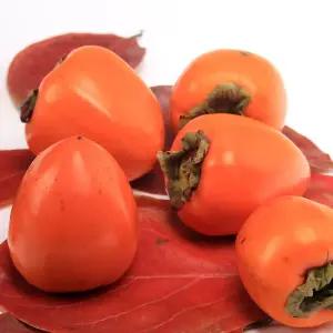 가정용 대봉감 10kg(31-55과 혼합사이즈) 흠과 대봉 홍시