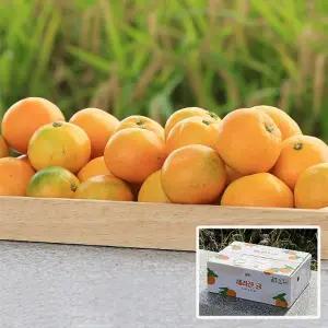 제라진귤 5kg(실무게4)