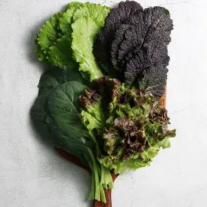 [당일수확] GAP 국내산 충북 모듬 쌈채소 1kg