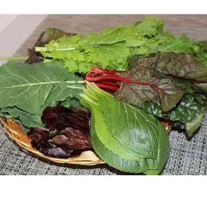 모듬쌈채소(7~8종) 2kg 1박스 자연대로팜웨이