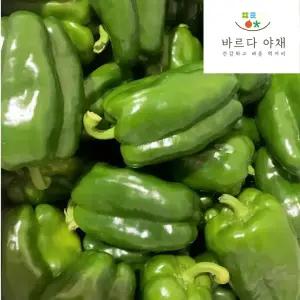 바르다야채 국내산 청피망 1kg - 5kg
