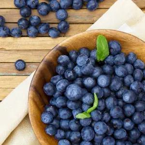 프리미엄 중대과 14-16mm 생블루베리 4팩 (한팩 125g내외)