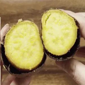 [해남미소] 은혜농장 25년산 햇 밤고구마 5kg(10월20일부터 순차적 발송)