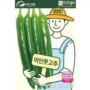 아시아종묘 씨앗 고추 미인풋고추 100립