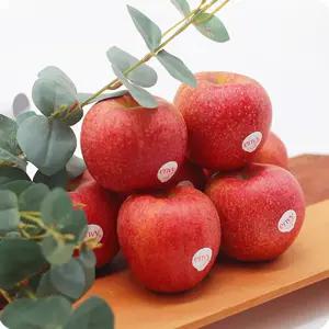 프리미엄 정품 엔비사과 3kg 외 택1 예산 고당도 사과 백화점 납품용 13브릭스 이상