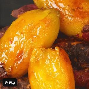 늘해랑 해남 꿀고구마 4.5kg+4.5kg (총 9kg)