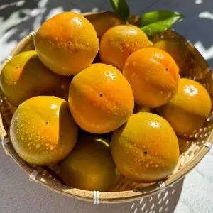 가정용 태추 단감 소과 2kg 12-14과