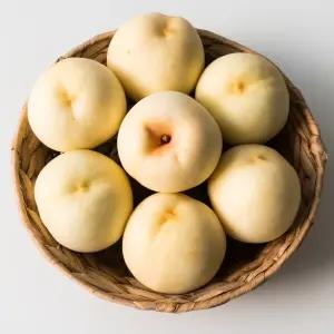 설아 설도 겨울 복숭아 대설백도 1kg 중과 4과