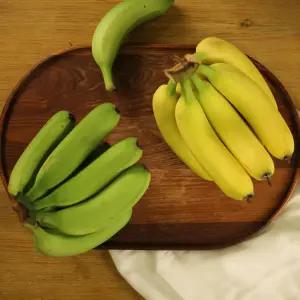 제주도 고당도 무농약 바나나 2.5kg