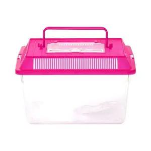 곤충 사육통 채집 용기 관찰 통 다양한 생물 사육