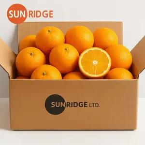 썬리지) 호주산 고당도 네이블 오렌지 특대과 4kg (개당 300g 내외)