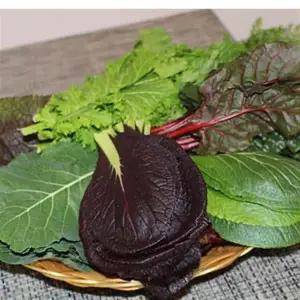 모듬쌈채소(7~8종) 2kg 2박스 자연대로팜웨이