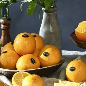 실속형 썬키스트 고당도 오렌지 대과 17kg (48-72과 내외)