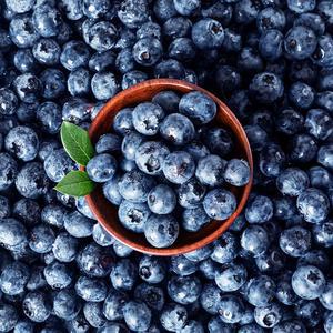 칠레산 냉동 블루베리 1kg x 1팩 2팩