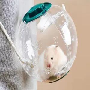 햄스터 러닝볼 투명 놀이용품 골든햄스터 방지 운동 도망