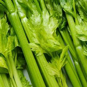 [전청프레시] 싱싱한 국내산 샐러리 2kg