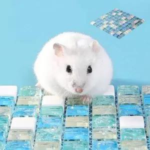 [골드스마일]햄스터 쿨매트 냉각 패드 여름