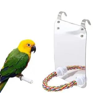 [골드스마일]앵무새 거울 횃대 발톱갈이 장난감