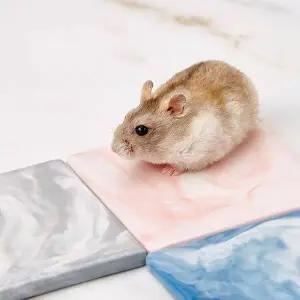 [골드스마일]햄스터 쿨매트 뜰자리 도자기 여름