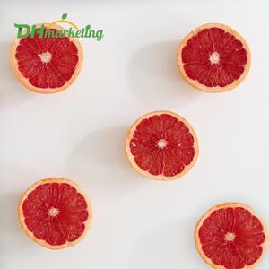 남아공 레드자몽 10~25입