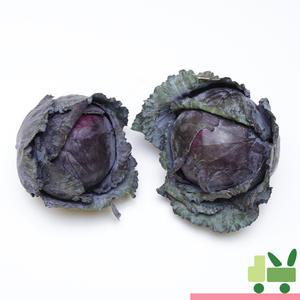 적양배추 (적채) 2등 10kg