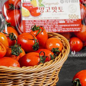 [장터할매]망토맛토 스테비아 완숙 토마토 방울토마토 1kg 컬러마토