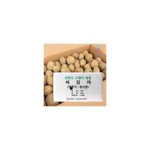 강원도 왕산면 채종 하우스 씨감자 수미 20kg 보급종 감자씨 (두백은 전화주세요)