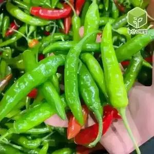국내산 청양고추 반홍청양고추 5kg