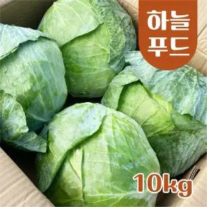 (10kg/Box) 수입 양배추 식자재 원산지:중국
