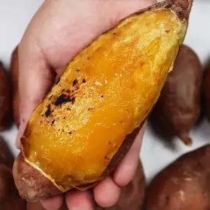 여주 호박고구마 왕특 10kg