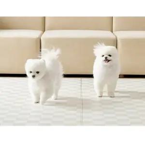 울리 애견 복도 매트 미끄럼방지 체커보드 110x220