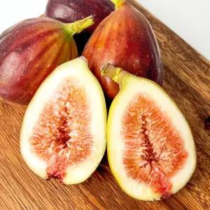 영암 GAP 무화과 고당도 제철 홍무화과 500g 1kg