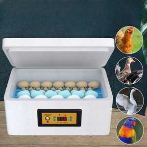 계란 병아리부화기 오리 부화 메추리 가정용 병아리 유정란 메추리알