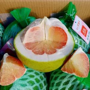 [거북농산] 베트남 자몽 포멜로 4.5kg 4-5개