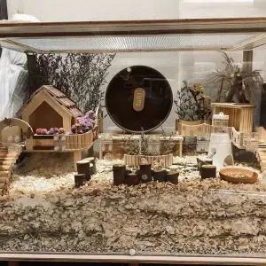 햄스터케이지 아크릴집 미니펫 하우스 소동물 햄스터