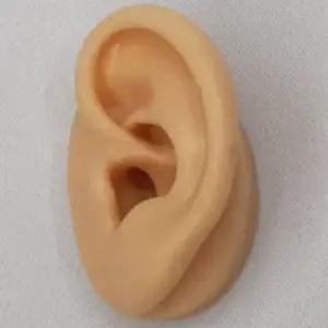 실리콘 귀모형 인체모형 왼쪽귀 귀이개연습