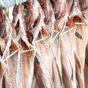 속초코다리 대 10미(42cm-45cm),특대 8미(45cm-49cm)