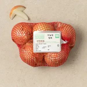 친환경 양파 1kg