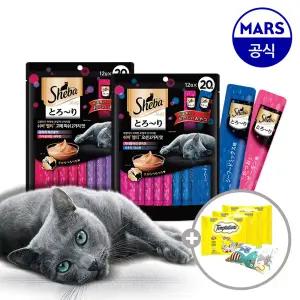 쉬바 멜티 12gx40p+캣닢쿠션+템테이션12gx3팩