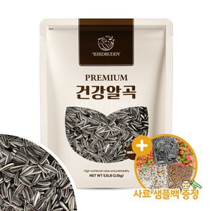 대용량 건강알곡 해바라기씨 2.5kg 소동물 앵무새간식