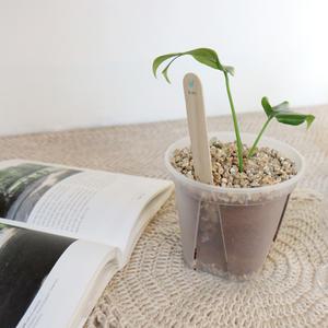 갑조네 슬릿화분 받침2개세트 무료배 송