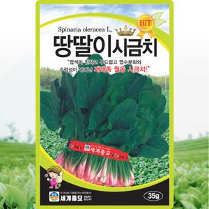 세계종묘 땅딸이 시금치 씨앗 35g 재래종 월동 시금치 종자