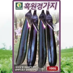 다농 흑원경가지 씨앗 100립 자색 가지씨 종자
