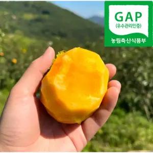 [GAP인증] 창원 단감 고당도 실중량 5kg 10kg 송본 부유 태추