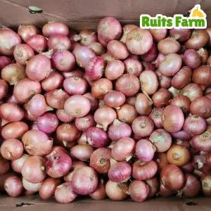 [루츠팜] 미얀마 샬롯 10kg 샬럿 험댕 미니양파 shallot 모충