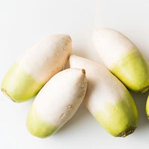 국내산 무 18kg(11-18개) 아삭하고 시원한 우리땅 깨끗히 자란 국산무우